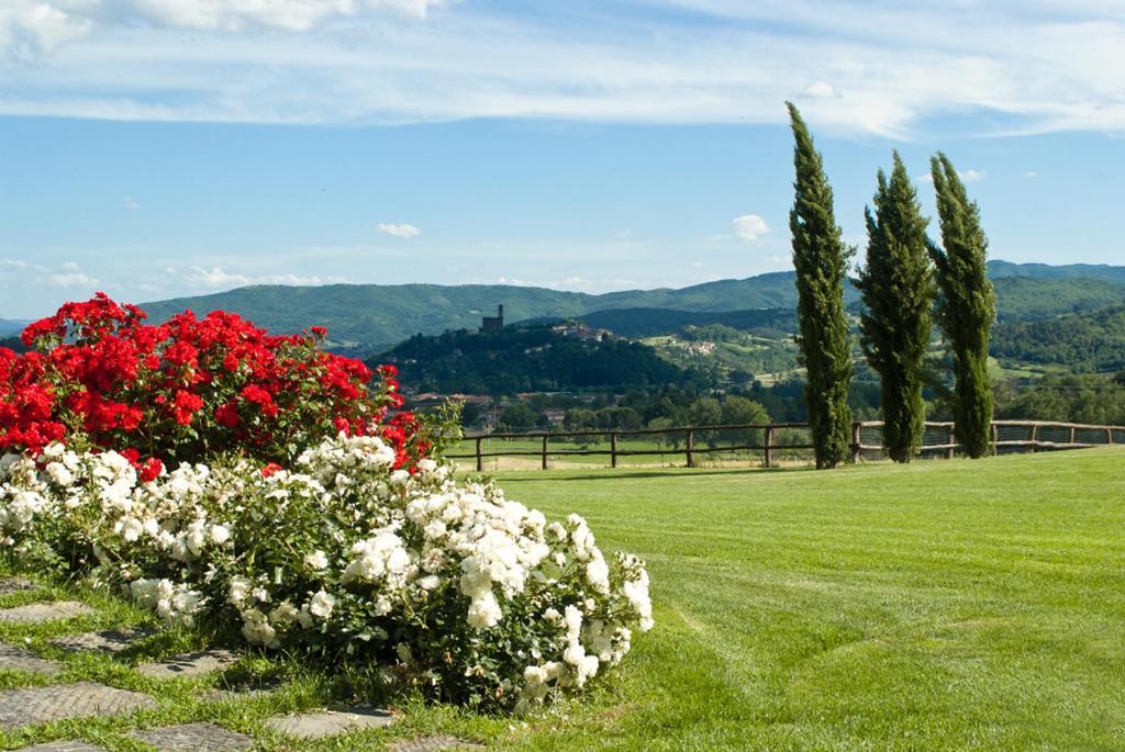 Antico Fio Guest House Poppi Exterior foto